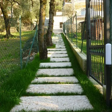 Sole *